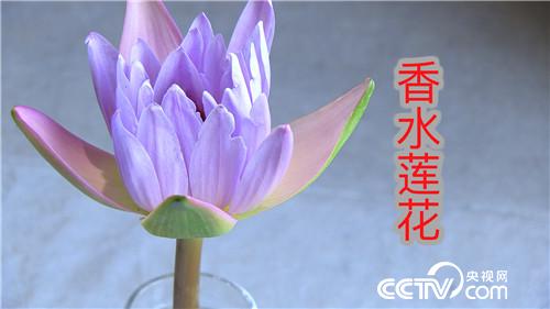 [¸]Ǻñ Iţ 20180801 