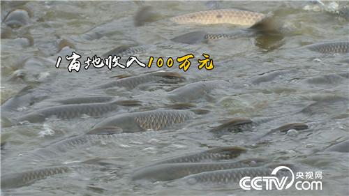 [¸]~“ܲC” ؔϡ 20181025 