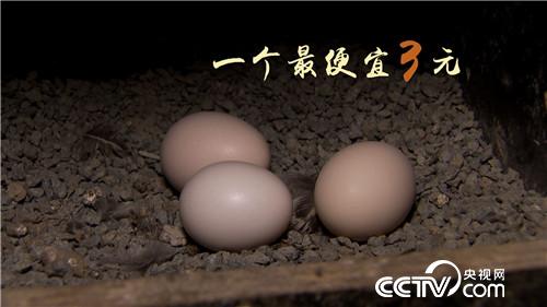 [¸(jng)]УLB(yng)wu һöu9.9Ԫ 20181107